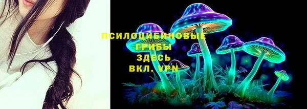 гидра Арсеньев