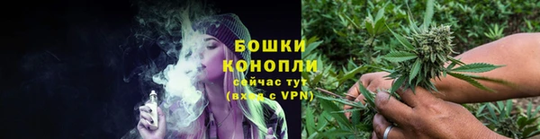 гидра Арсеньев
