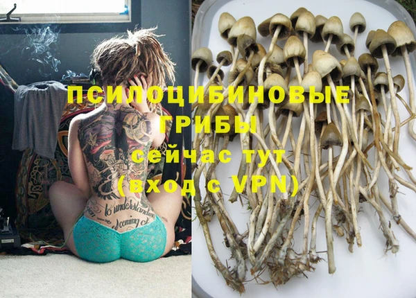 стафф Аркадак