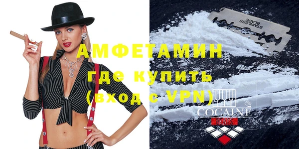 гидра Арсеньев