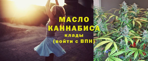 гидра Арсеньев