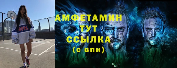 стафф Аркадак