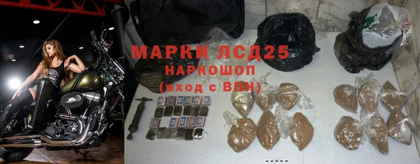стафф Аркадак
