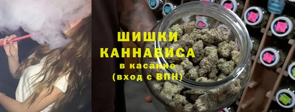 гидра Арсеньев