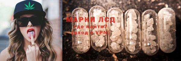 гидра Арсеньев