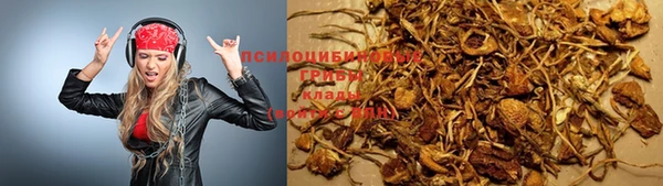 гидра Арсеньев