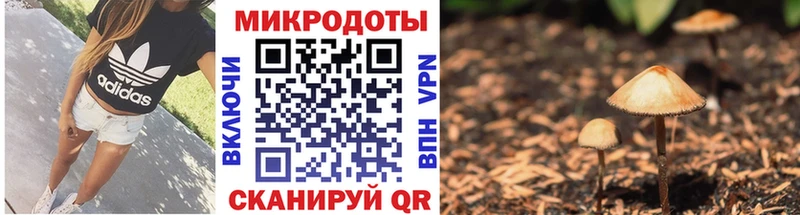 Псилоцибиновые грибы Psilocybine cubensis как найти наркотики Сальск